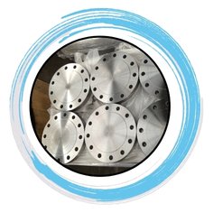 Stainless Steel Blind Flange